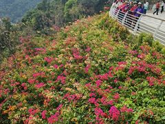 -清晖小苑•顺德地方菜(壹海城店)