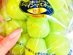 -油麻地果栏