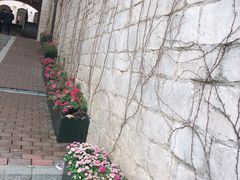 -华谊兄弟（长沙）电影小镇