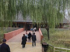 -白洋淀景区