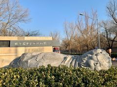 -北京石刻艺术博物馆(五塔寺)