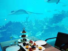 -海棠湾洲际-涛·海底餐厅·美人鱼·自助餐·海底隧道
