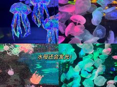 -正佳极地海洋世界
