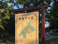 -西海子公园