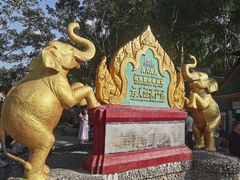 -西双版纳傣族园