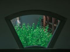 -海珠湖公园