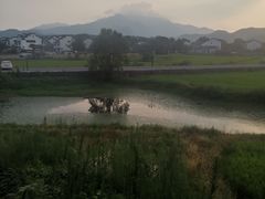 -黄牛肉馆·皖南土菜