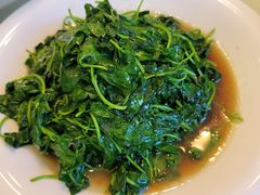 -旭龙鱼头王(航华店)