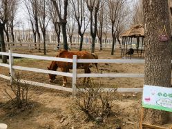 点击看大图 -优沃得自然教育农场·冰雪乐园·生日会·研学
