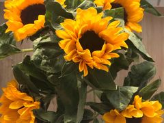 -秦美花卉(天朗·莱茵小城2期店)