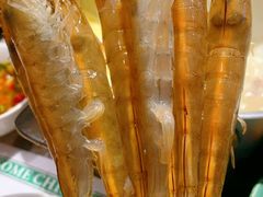 -禄婶鸡煲·打边炉