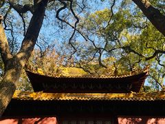 -普陀山风景名胜区-法雨禅寺