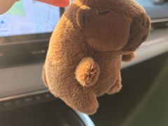 -新世界百货(顺义店)