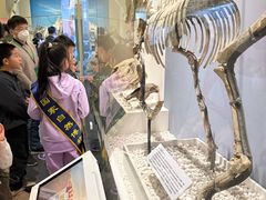 -国家自然博物馆