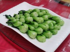 炒青菜-君临七星生态酒店
