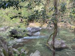 -黄山翡翠谷景区