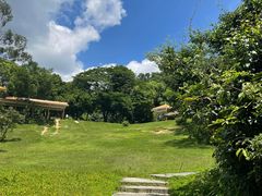 -东莞市大岭山森林公园