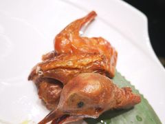 红烧中山乳鸽-富淳饭店(陆家嘴保利广场店)