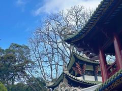 -南华禅寺