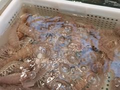 -妈妈菜舟山海鲜(定海古城店)