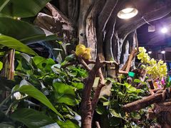-正佳雨林生态植物园