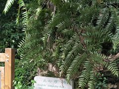 景点-鼎湖山风景区