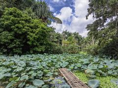 -中国科学院西双版纳热带植物园