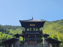 -大唐贡茶院