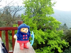 android_upload_pic-广州市石门国家森林公园