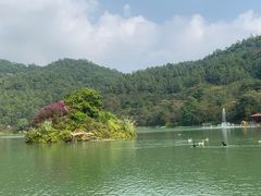 -广州白江湖森林公园