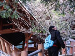 -藏龙百瀑风景区