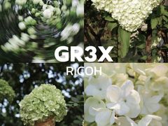 -大龙山(地铁站)