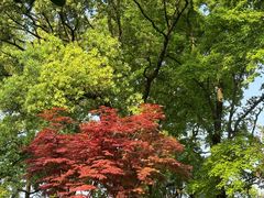 -岳麓山风景名胜区