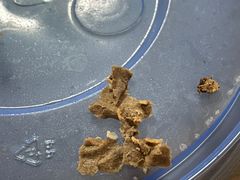-阊门姚记豆浆(旧学前直营店)