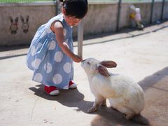 -前小桔亲子创意农场·草莓采摘·露营烧烤