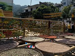 -新安江山水画廊风景区