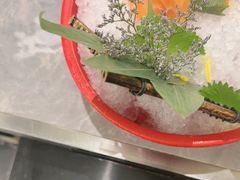 三文鱼-一绪に寿喜烧(虹悦城店)
