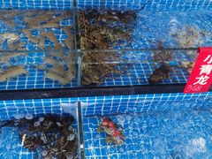 -红月湾海鲜饭店•沙滩海景(双月湾店)