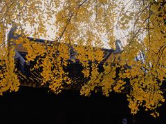 -苏州上方山国家森林公园