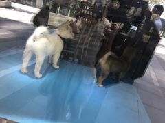 -杯欢制茶(三里屯店)