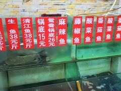 水产区-武记碳锅鱼大盘鸡(杜岭街店)