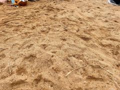 -天津东疆湾沙滩景区