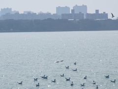 -蠡湖大桥公园