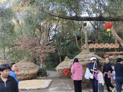 -天目湖山水园