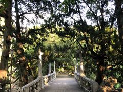 -叶家花园