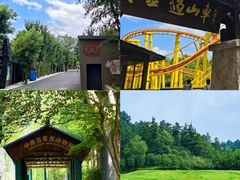 -阿露佳·舌尖上的安吉菜