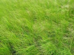 android_upload_pic-塞罕坝国家级自然保护区