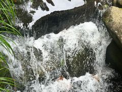 -中国茶叶博物馆(双峰馆区)