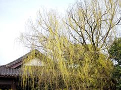 -云龙湖旅游景区