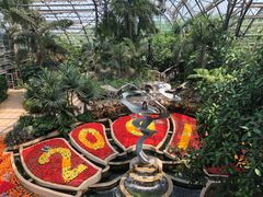 -南山植物园